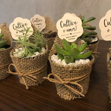 CileideSousa Cabral da Silva