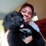 Lucinede do Prado Ferreira