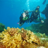 Alana Jeniffer Krueger