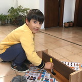 Luciana Verzola de Andrade Santos