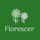 Florescerfrutal