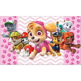 ERICA DE PAIVA ANTONIO