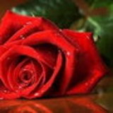 Jacqueline Simöes da Silva