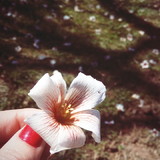 Giane carla rizzi locatelli