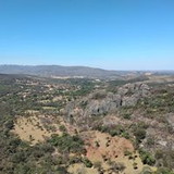 ARLETE DAS GRAÇAS DA CRUZ DOMINGUES