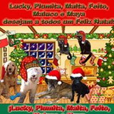 Cris Sousil Crisinha