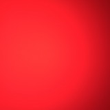 Marina Fraga Moreira