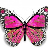 Raiane Rodrigues da Silva