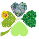 Verde Rosa Terrarios