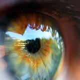 Liseane Maria de Quadros Oliveira