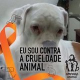 MARIA ELIZABETH ventura