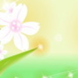 Larissa da Cunha Veronezze