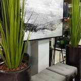 floricultura toke verde decoracao de ambientes 