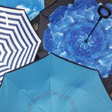 Fermin Rodolfo Gonzalez