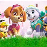 Tamires Cristina Prado