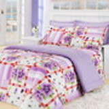 EDILMA AP. GOMES PEIXE