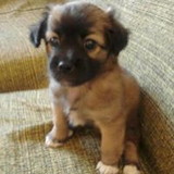 Barbara Daumerie de Jesus