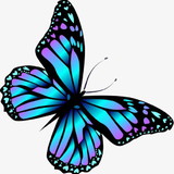 SERGIO MARTINS VIDAL JUNIOR