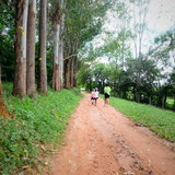 Hamilton Costacurta Santos