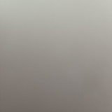 Thays Rodrigues de Oliveira