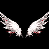 Thomas Gregory Mateus Nesio