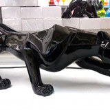 DEROCY GONCALVES CAMPOS