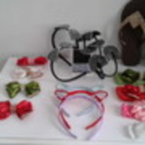 Fernanda Bijani Santos