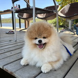 gizely Cipriano Farias