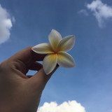 Dejanira Almeida gomes