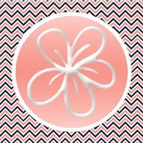 Meliz Papelaria Criativa