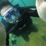 Guilherme Sanches Bravo