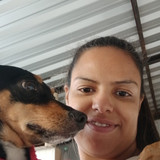 Antônio Jerônimo filho
