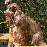 Tatiana Gerçóssimo