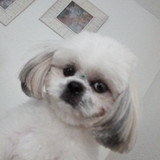 Danuza Teixeira Bitencourt