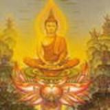 joaquim sier mota reis