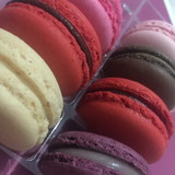 Jessica de Brito Camargo