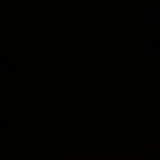 Deise Fátima de Bairros