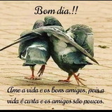 Gisele Gomes Vidal de Oliveira