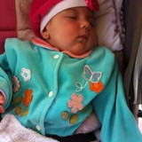 Kamila Maria eucares luthigardes borges 