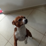 Yasmin Benetti Martello