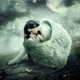 Ir para o perfil do usuário