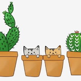 Shirlei Reis da Silva