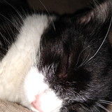 Cristhian Gonçalves