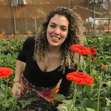 Isabela Faria Bachegga