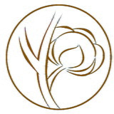 algodão e Criação