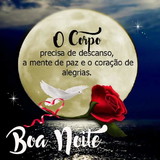 Michelle gabriel da silva