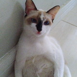 Lorena Tamires Berina