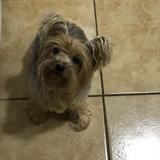 Carla Adriana Oliveira