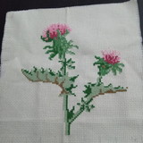 Maria Amelia Junginger