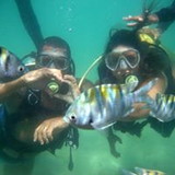 Bruna Terrigno Leite